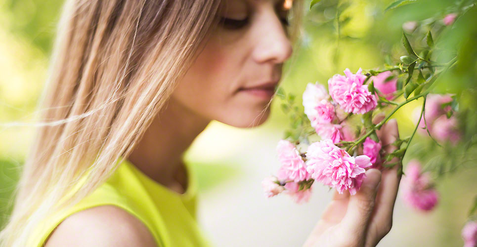 Beautiful blond woman smelling pink rose flowers. Sunny summer.