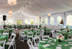 Important things for arranging a party