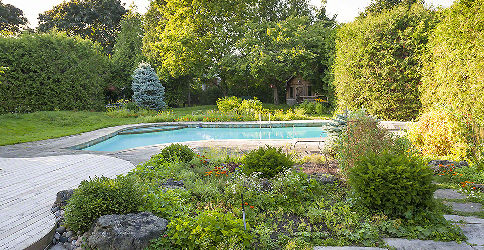 Garden and swimming pool in backyard