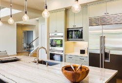Some Important Appliances for Your New Kitchen
