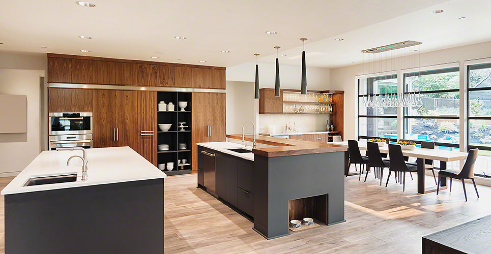 Kitchen Interior  in New Luxury Home